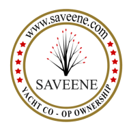 Logo Saveene Group Corp.