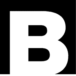 Logo The Boldt Co.