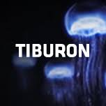 Logo Tiburon Unternehmensaufbau GmbH