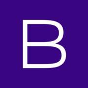 Logo BIS Bedrijfs Informatie Systemen BV
