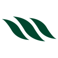 Logo MMG Bank Corp.