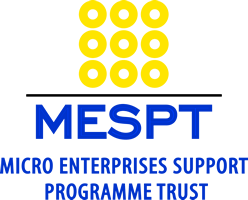 Logo Micro Enterprises Support Programme Trust