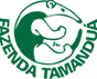 Logo Instituto Fazenda Tamanduá