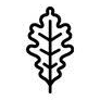 Logo Community Forest Trust