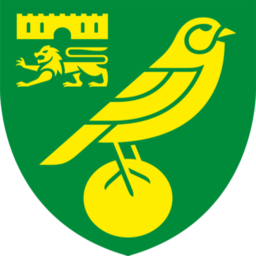 Logo Norwich City Community Sports Foundation
