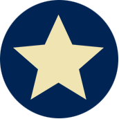 Logo Lone Star Texas Grill
