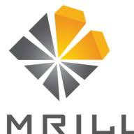 Logo Emrill Services LLC