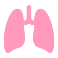 Logo Lung Institute LLC