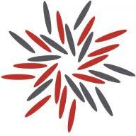 Logo Starn Energy Services Group Ltd.
