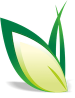Logo Safex Chemicals (India) Ltd.