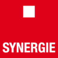 Logo Synergie Hunt International, Inc.