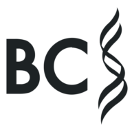 Logo BC Platforms AG