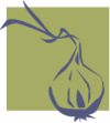 Logo The Onion Foundation