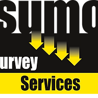 Logo SUMO Holdings Ltd.