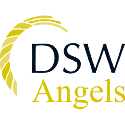 Logo Dsw Angels LLP