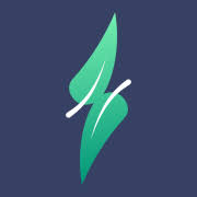 Logo ChargeNet Holdings, Inc.
