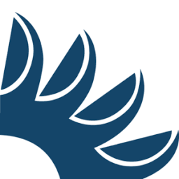 Logo Wasserkraft Volk AG