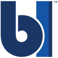 Logo Blue Line Protection Group LLC